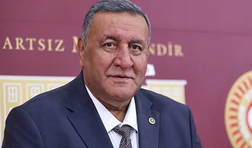 CHP'li Gürer: Zeytinde yeni yol haritası şart
