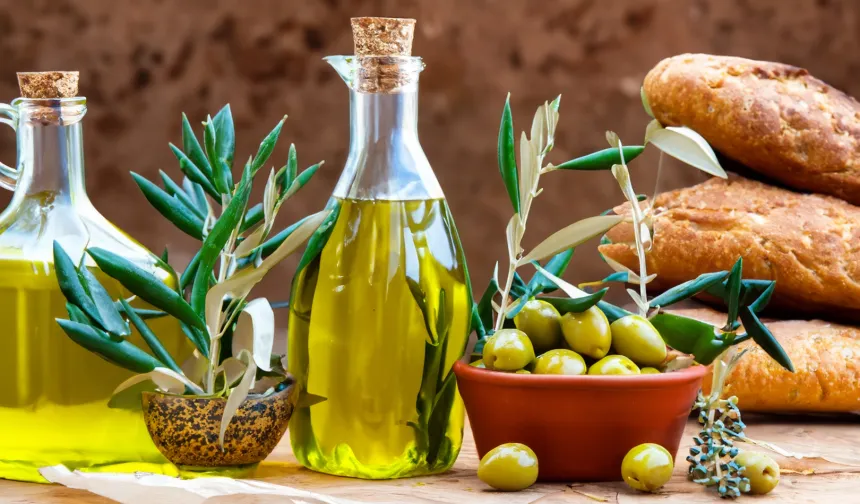 Zeytin ve zeytinyağı sektöründe güçler URGE Projesi'nde birleşiyor