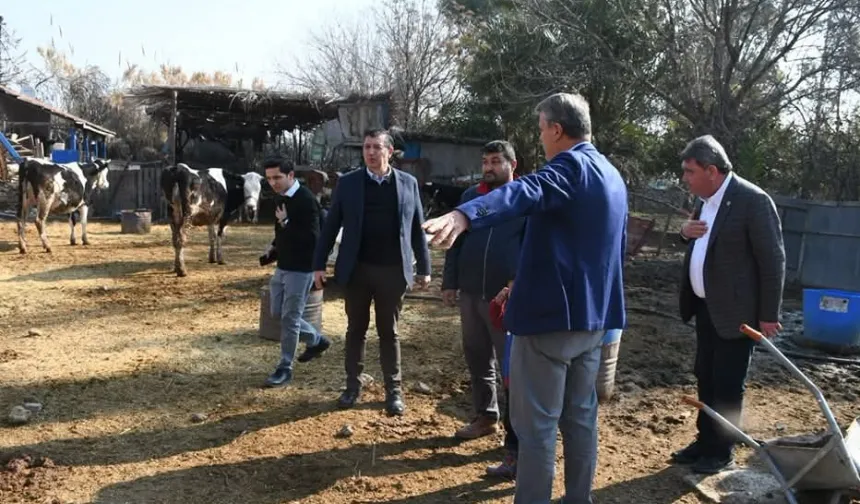 Gaytancıoğlu'ndan et ithalatına sert eleştiri