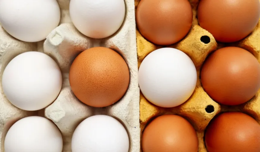 Yumurtanın limit artışı Resmi Gazete'de!