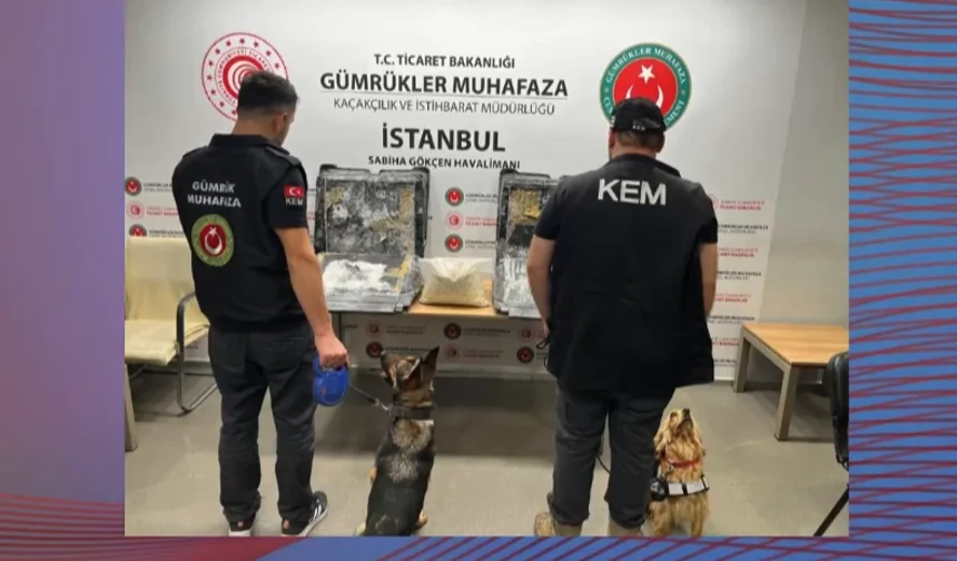 Ticaret'ten uyuşturucu kaçakçılığına büyük darbe... 420 kilo esrar ele geçirildi