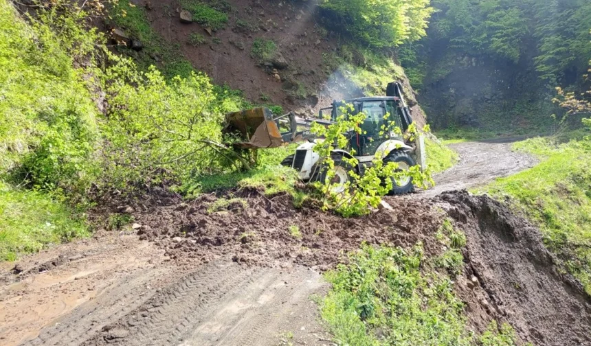 Ordu'da kuvvetli yağış sonrası 120 heyelan