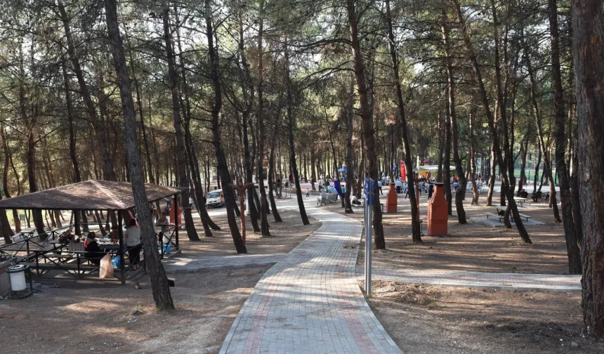 Bursa'da ormanlara giriş yasağı 15 Ekim'e kadar sürecek